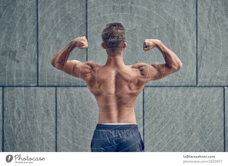 Junger männlicher Bodybuilder posierend Körper Sport Mann Erwachsene 1 Mensch 18-30 Jahre Jugendliche Fitness muskulös stark Kraft Rücken Körperhaltung