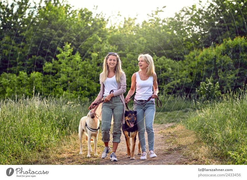Happy laughing young women walking their dogs along a grassy rural track Lifestyle Glück schön Sommer Frau Erwachsene Freundschaft 2 Mensch 18-30 Jahre