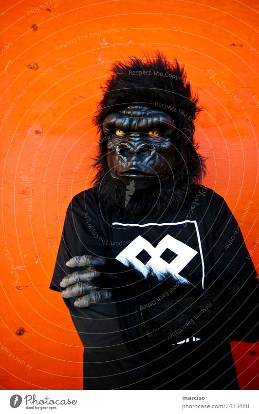 Gorilla Körper 1 Mensch Affen orange schwarz bedrohlich protestieren Kraft Stadt Körperhaltung Farbfoto Außenaufnahme Hintergrund neutral Tag Kontrast Porträt