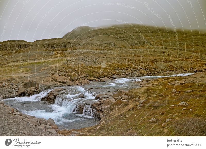 Island Umwelt Natur Landschaft Urelemente Erde Wasser Himmel Wolken Hügel Felsen Berge u. Gebirge Flussufer Bach Westfjord natürlich wild Stimmung Einsamkeit