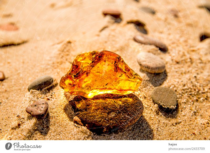 Bernstein am Ostseestrand Saft Alternativmedizin Strand Natur Sand gelb Baumharz alt Fund Baltikum Steinheilkunde Edelstein Mineral leuchtend strahlend sonnig