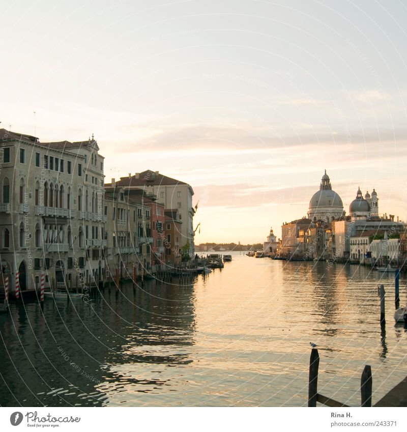 Canale Grande Ferien & Urlaub & Reisen Tourismus Ausflug Sightseeing Städtereise Sommer Schönes Wetter Venedig Altstadt Menschenleer Sehenswürdigkeit
