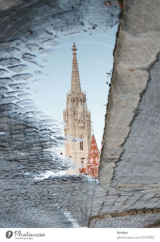 Matthiaskirche Budapest Kirche außergewöhnlich Idylle Religion & Glaube Surrealismus Spiegelbild Kirchturm Weltkulturerbe Straßenbelag Straßenrand Pfütze