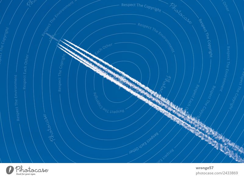 Fernflieger Ferien & Urlaub & Reisen Ferne Luftverkehr Flugzeug Passagierflugzeug fliegen hoch kalt blau weiß Flugangst Geschwindigkeit Himmel himmelwärts