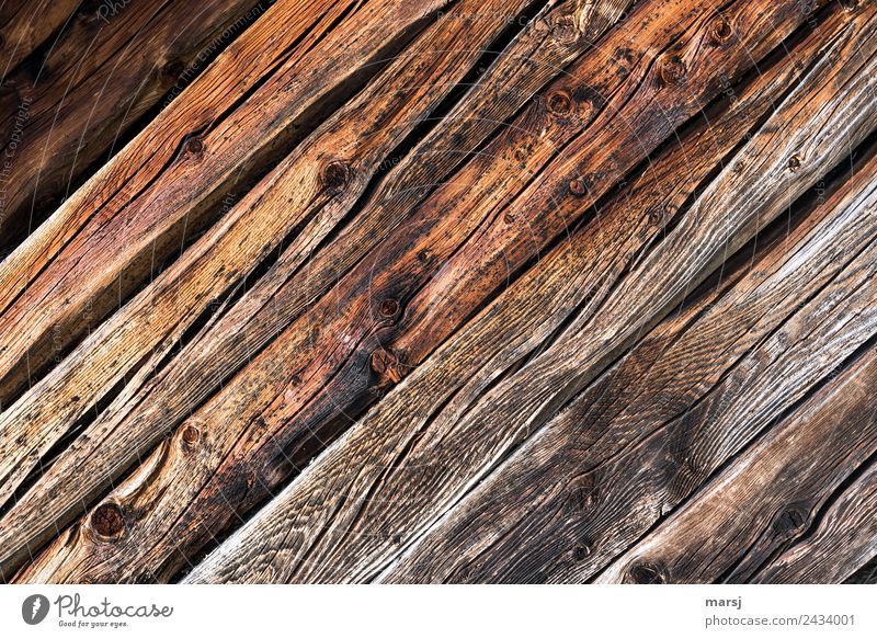 Gemeinsam diagonal Maserung Astloch Riss Hintergrundbild Holz alt authentisch einfach Zusammensein nachhaltig natürlich Originalität braun Kraft Ausdauer Sorge