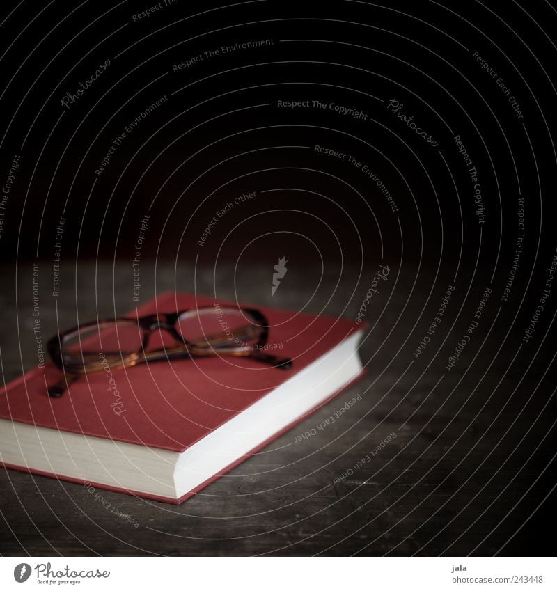 bettlektüre Buch Brille Brillengestell Holz einfach braun rot schwarz Farbfoto Innenaufnahme Menschenleer Textfreiraum rechts Textfreiraum oben Tag