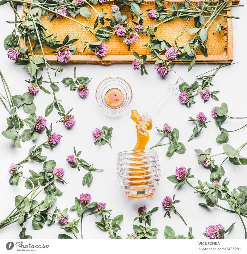 Wildblütenhonig mit Blumen und Honigwabe Lebensmittel Ernährung Bioprodukte Vegetarische Ernährung Diät Geschirr Stil Design Gesundheit Behandlung