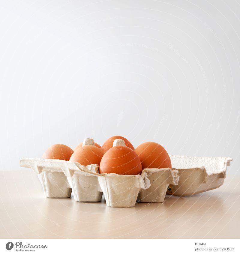 Ich habe Eier Frühstück Picknick braun weiß Eierverkäufer Packung 6 Tisch Innenaufnahme Textfreiraum oben Starke Tiefenschärfe