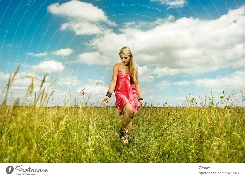 sonnenkind Lifestyle elegant Erholung feminin Junge Frau Jugendliche 1 Mensch 18-30 Jahre Erwachsene Natur Landschaft Wolken Sommer Wiese Kleid Accessoire