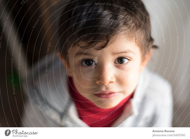 Babyporträt Mensch Junge 1 1-3 Jahre Kleinkind authentisch listig nah Freizeitbekleidung Blick in die Kamera Porträt Spanisch dunkles Haar