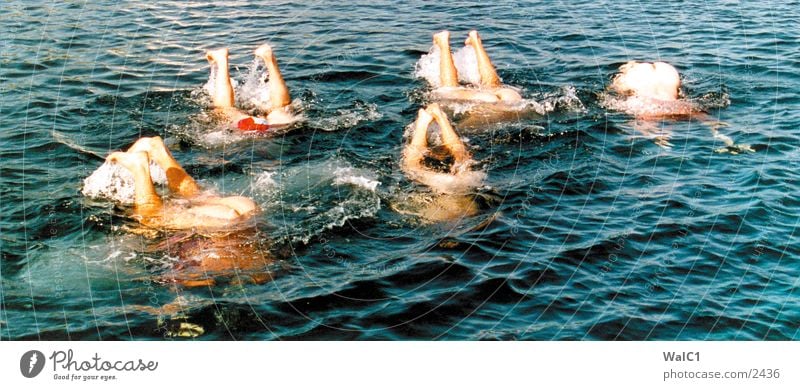 5 Wale Meer Wellen Menschengruppe Schwimmen & Baden Hinterteil Wasser Beine Fuß blau Barfuß