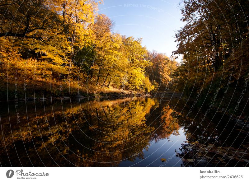 gö_001 Angeln Ferien & Urlaub & Reisen Tourismus Abenteuer Camping Natur Wasser Herbst Wald Flussufer Warmherzigkeit ruhig Sehnsucht Heimweh Freiheit nachhaltig