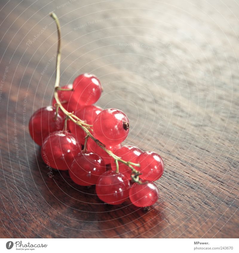 Beeren Ernährung Bioprodukte Vegetarische Ernährung Holz gut saftig sauer rot Johannisbeeren Stengel Tisch Weintrauben Gesundheit vitaminreich lecker Frucht