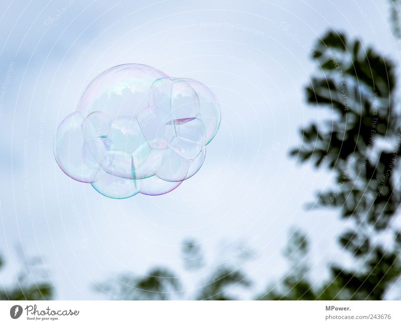 ufo Seifenblase UFO Baum Himmel mehrfarbig Reflexion & Spiegelung Verbundenheit rund bubble fliegen Wolken Menschenleer Luftblase