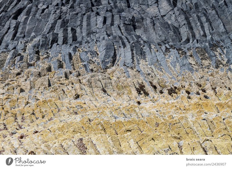 Basaltsäulen Ferien & Urlaub & Reisen Tourismus Ausflug Insel Geologie Geologen Kunst Umwelt Natur Landschaft Erde Küste Schottland Sehenswürdigkeit Wahrzeichen