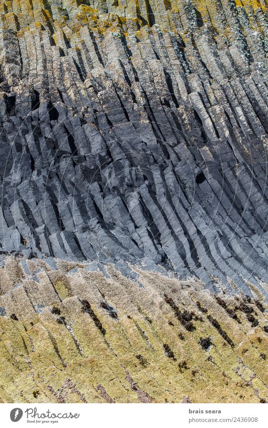 Basaltsäulen Ferien & Urlaub & Reisen Tourismus Ausflug Insel Geologie Geologen Kunst Umwelt Natur Landschaft Erde Küste Schottland Sehenswürdigkeit Wahrzeichen
