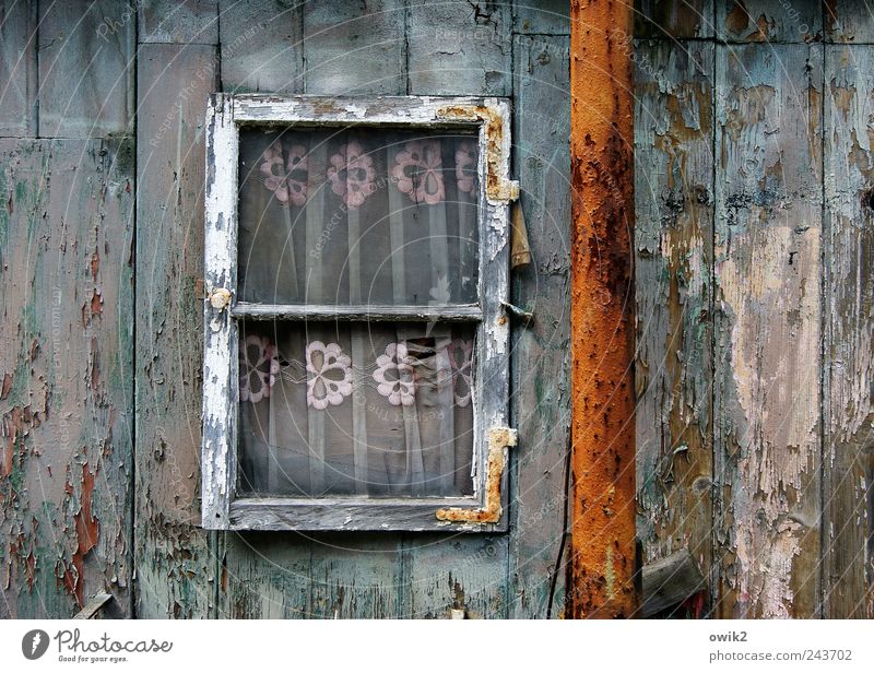 Wohnwelten Häusliches Leben Wohnung Haus Gardine Vorhang Hütte Bauwerk Gebäude Mauer Wand Fenster Dachrinne Holz Glas Metall Rost alt dreckig einfach historisch