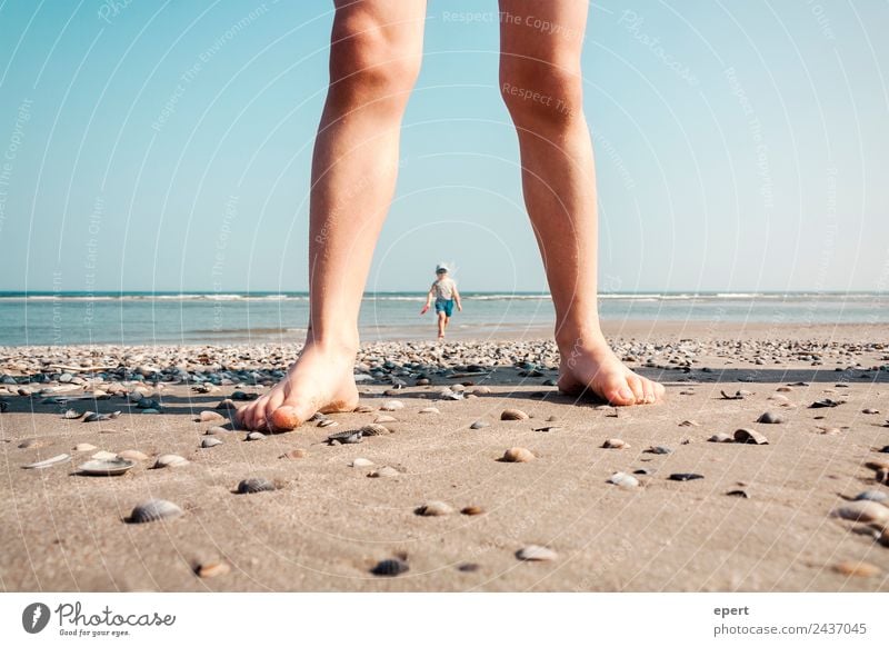 Koloss von Juist Kind Beine Fuß 2 Mensch 3-8 Jahre Kindheit Wasser Sommer Schönes Wetter Strand Sand Schwimmen & Baden Ferien & Urlaub & Reisen Spielen