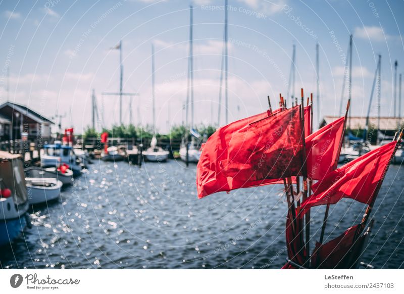 Red Flags Fishing Sommer Sonne Himmel Wolken Sonnenlicht Schönes Wetter Fjord Nordsee Ringkøbing Hafenstadt Menschenleer Fischerboot Jacht Segelboot Segelschiff