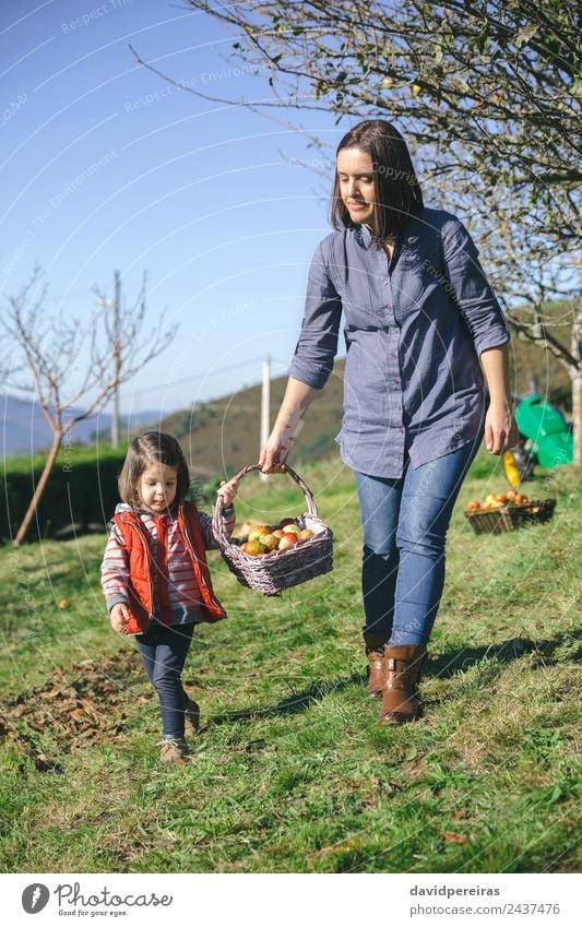 Frau und kleines Mädchen tragen einen Korb mit Äpfeln. Frucht Apfel Lifestyle Freude Glück schön Freizeit & Hobby Garten Mensch Erwachsene Mutter Hand Natur