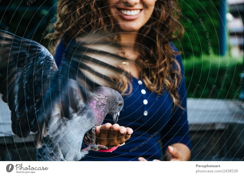 Eine lächelnde Frau, die eine Taube aus ihrer Hand füttert. Freude Glück schön Leben Freiheit Sommer Küche Mensch Erwachsene Arme Natur Tier Wärme Park Vogel