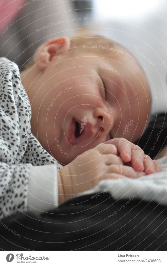 schlafendes Baby, Neugeborenes, Junge Kindererziehung maskulin Gesicht 1 Mensch 0-12 Monate Erholung träumen niedlich Zufriedenheit Sicherheit Schutz