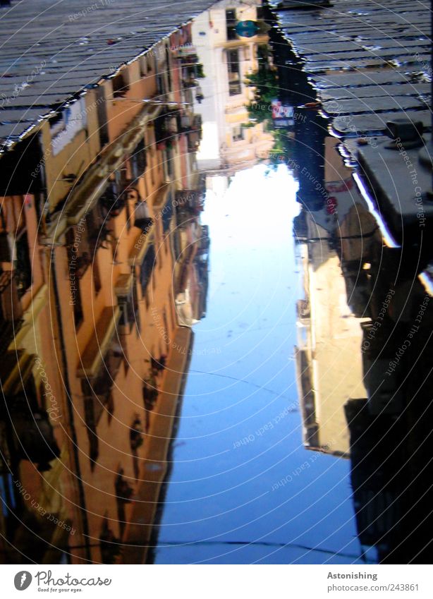 die verkehrte Stadt Erde Wasser Wolkenloser Himmel Sommer Wetter Schönes Wetter Valencia Spanien Hafenstadt bevölkert Haus Hochhaus Bauwerk Gebäude Straße blau