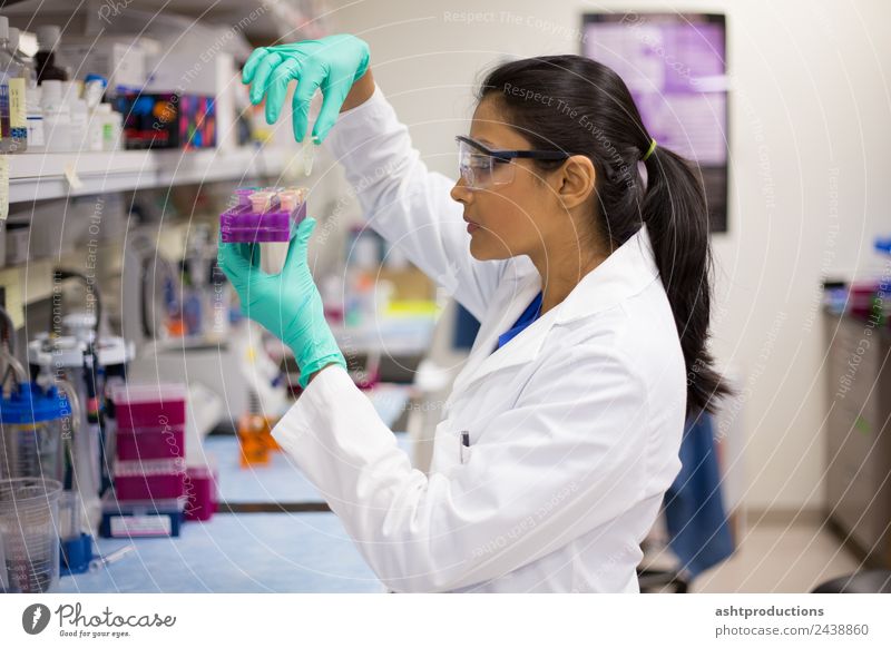 Durchführung von Laborversuchen Behandlung Medikament Wissenschaften Prüfung & Examen Arzt Industrie Karriere Technik & Technologie Mensch Handschuhe Tube