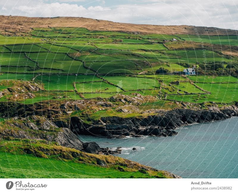Küste Irland Ferien & Urlaub & Reisen Tourismus Ausflug Natur Landschaft Himmel Wolken Frühling Sommer Schönes Wetter Wiese Feld Hügel Wellen Meer Atlantik