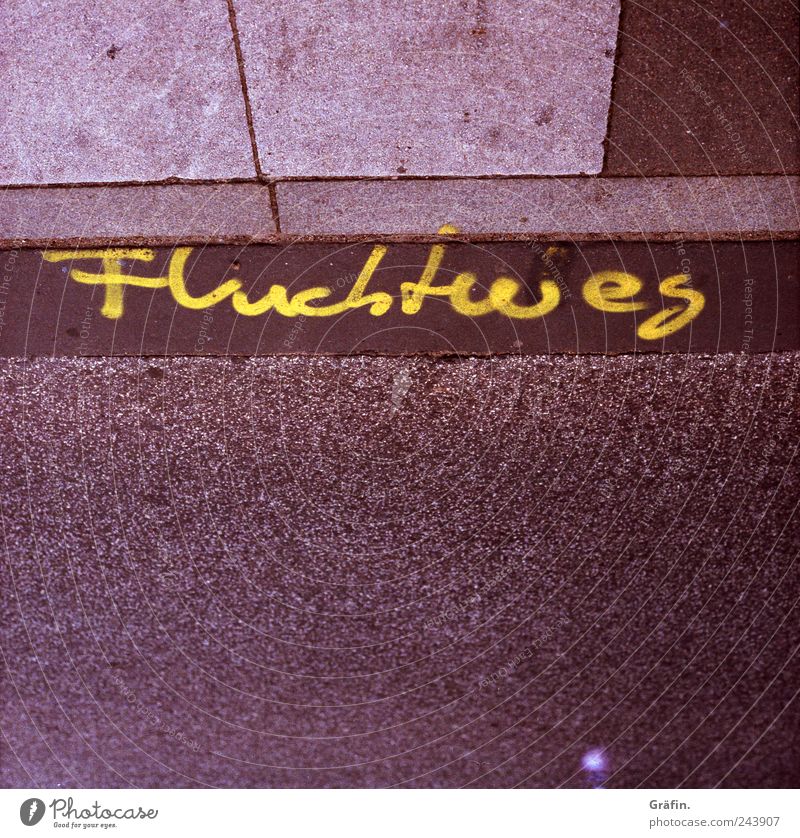 Fluchtweg Straße Beton Schriftzeichen Schilder & Markierungen Graffiti braun gelb grau achtsam Rettung Asphalt Bürgersteig Fußweg Tagger Hinweis sprühen