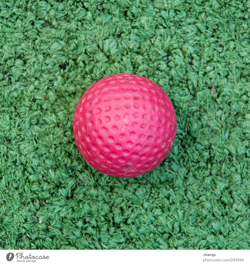 Golf Freude Freizeit & Hobby Spielen Minigolf Sport Ball Kunststoff Zeichen rund grün rosa Farbe Golfball Kunstrasen Farbfoto Außenaufnahme Detailaufnahme