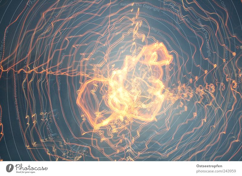 Feuerqualle Sommer Spinne ästhetisch bedrohlich heiß rund Wärme gelb schwarz Farbfoto Außenaufnahme Experiment Muster Menschenleer Nacht Kunstlicht
