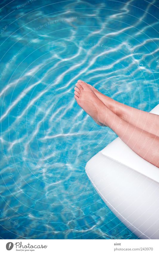 abkühlung Ferien & Urlaub & Reisen Sommerurlaub Sonnenbad feminin 1 Mensch Wasser Schönes Wetter Luftmatratze Erholung genießen liegen nass blau Gelassenheit