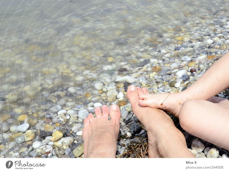 Füßeln Ferien & Urlaub & Reisen Sommer Sommerurlaub Strand Mensch Kind Kleinkind Mutter Erwachsene Familie & Verwandtschaft Kindheit Beine Fuß 2 3-8 Jahre