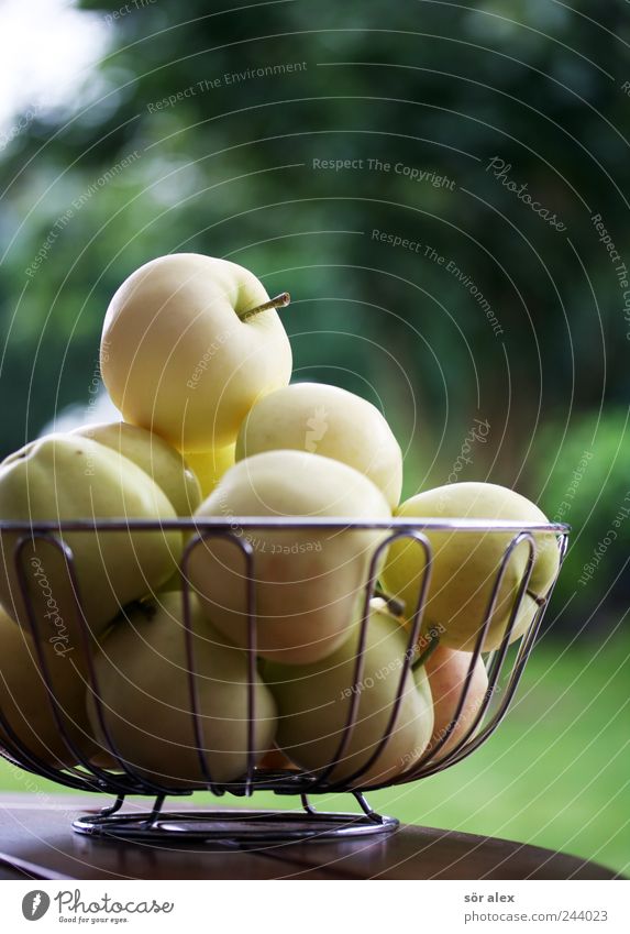 ausm Garten gepflückt Frucht Apfel Ernährung Bioprodukte Vegetarische Ernährung Diät Schalen & Schüsseln frisch Gesundheit lecker natürlich rund sauer süß gelb