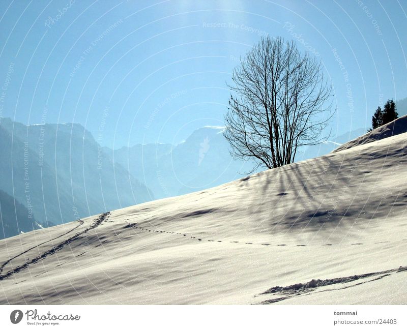 "Zigerschlitz" 2 Kanton Glarus wandern weiß Hügel Baum Einsamkeit Schwanden Schnee Spuren Sonne blau Himmel