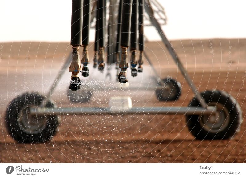 Bewässerung in der Wüste Saudi Arabiens Landwirtschaft Feld anpflanzen Maschine Technik & Technologie Wissenschaften Landschaft Erde Wassertropfen Klima Regen