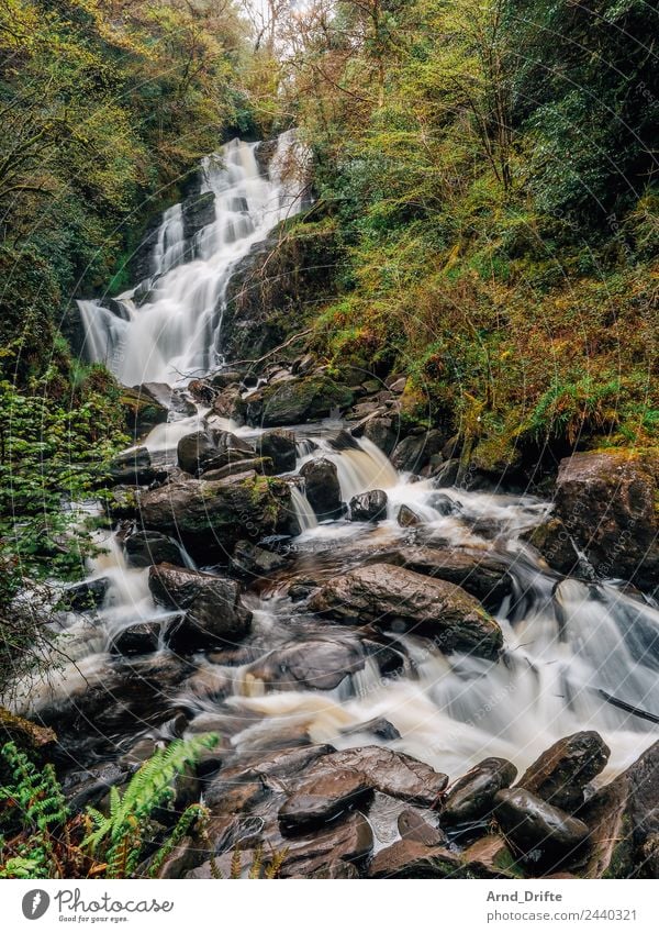Irland - Torc Wasserfall Ferien & Urlaub & Reisen Tourismus Ausflug Abenteuer Sightseeing wandern Natur Landschaft Baum Sträucher Wald Hügel Felsen