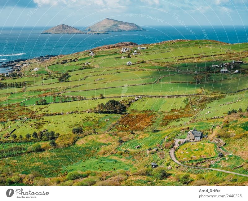 Irland - Skellig Islands Ferien & Urlaub & Reisen Tourismus Ausflug Ferne Freiheit Sightseeing Strand Meer Wellen Natur Landschaft Himmel Wolken Frühling Sommer