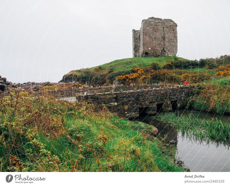 Irland - Minard Castle Ferien & Urlaub & Reisen Tourismus Ausflug Abenteuer Sightseeing Mensch feminin Frau Erwachsene 1 30-45 Jahre 45-60 Jahre Natur