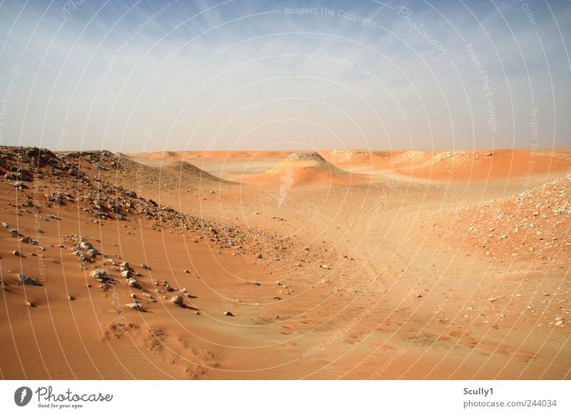Wüste in Saudi Arabien Umwelt Natur Landschaft Urelemente Erde Sand Himmel Klima Schönes Wetter Hügel Strand atmen entdecken Blick Traurigkeit verblüht