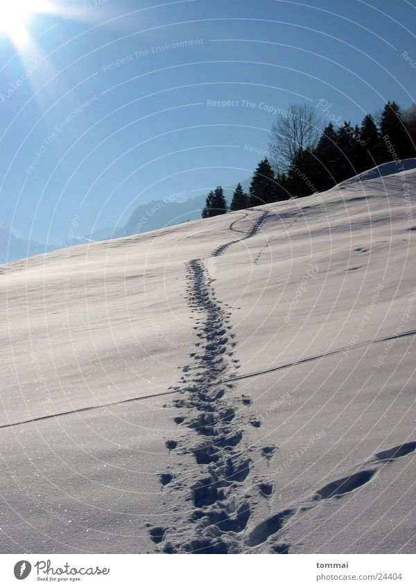 "Zigerschlitz" 1 Kanton Glarus wandern weiß Hügel Schwanden Schnee Spuren Sonne blau Himmel