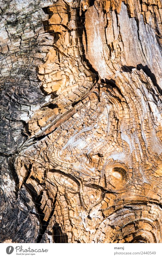 Kunstvoll altern Holz Strukturen & Formen Furche authentisch kaputt braun abstrakt Patina Hintergrundbild Verfall Farbfoto Gedeckte Farben Außenaufnahme