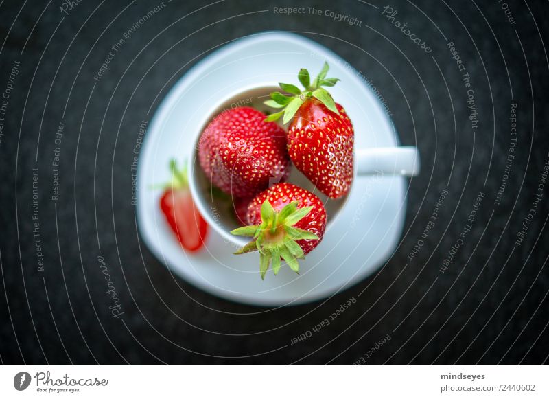 Eine Tasse voller Erdbeeren Lebensmittel Frucht Ernährung Bioprodukte Vegetarische Ernährung Sommer Duft Essen Fitness genießen leuchten natürlich saftig rot