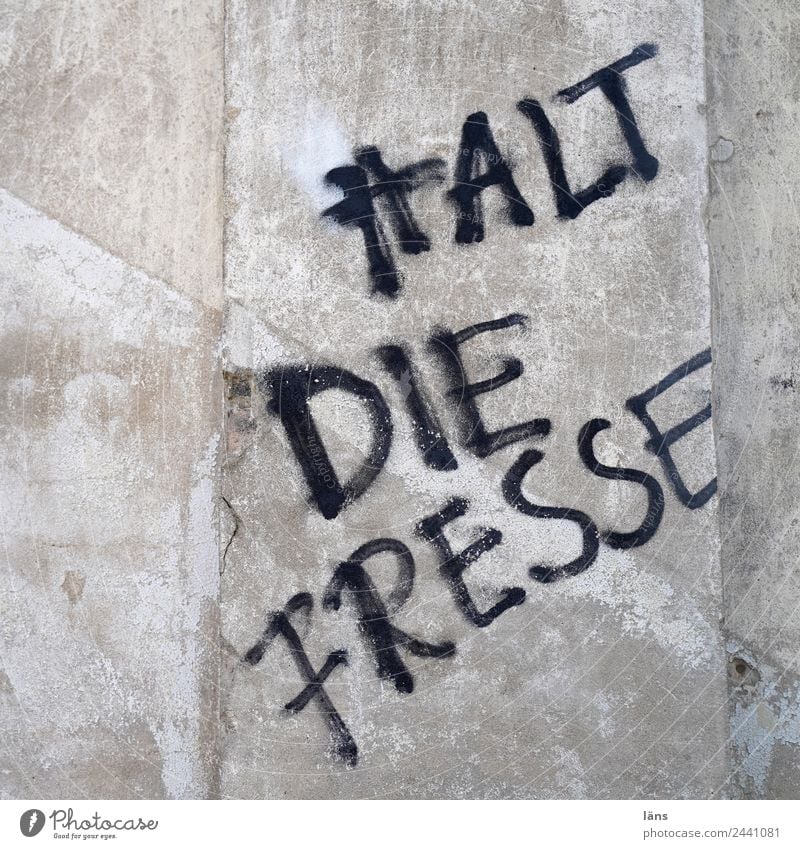 Halt die Fresse l UT Dresden Mauer Wand Schriftzeichen Graffiti Verachtung Wut Ärger gereizt Feindseligkeit Frustration Aggression Hass rebellieren Aussage