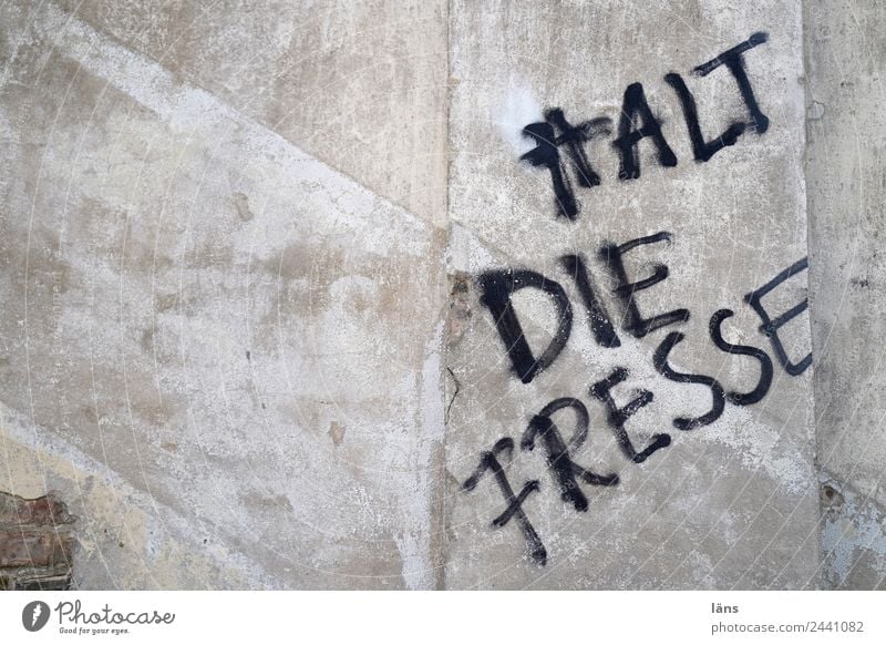 HALT DIE FRESSE l UT Dresden Schriftzeichen Graffiti Wand Ablehnung Aussage Gesicht Halt