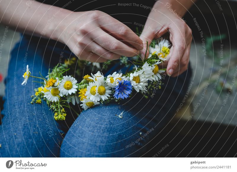 Ich flechte... | UT Dresden Finger Fröhlichkeit mehrfarbig Zufriedenheit Lebensfreude Frühlingsgefühle Vorfreude fleißig Ausdauer Kranz Blume Blumenstrauß