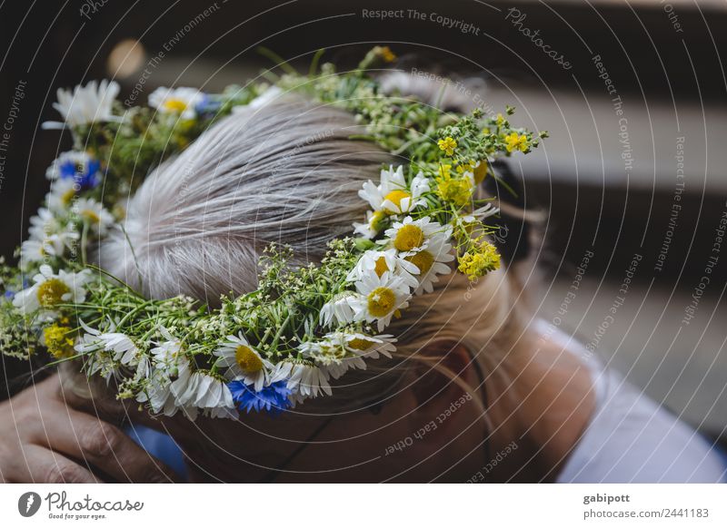 ... einen Kranz für dich | UT Dresden Haare & Frisuren Fröhlichkeit schön mehrfarbig Blume Blumenstrauß Gänseblümchen Kopf Kopfschmuck Haarband Braut Farbfoto