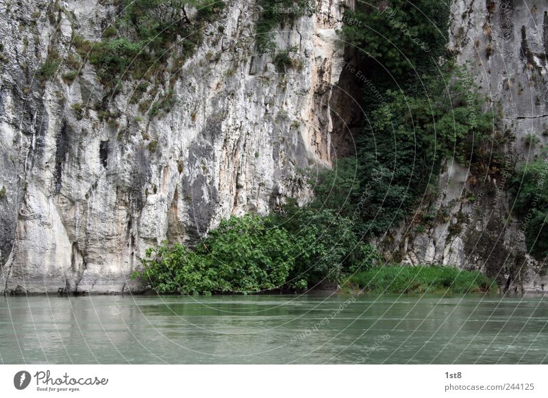 water rocks. Umwelt Natur Pflanze Wasser Sommer Baum Sträucher Blatt Grünpflanze Felsen Alpen Flussufer Bewegung Schwimmen & Baden ästhetisch gigantisch groß