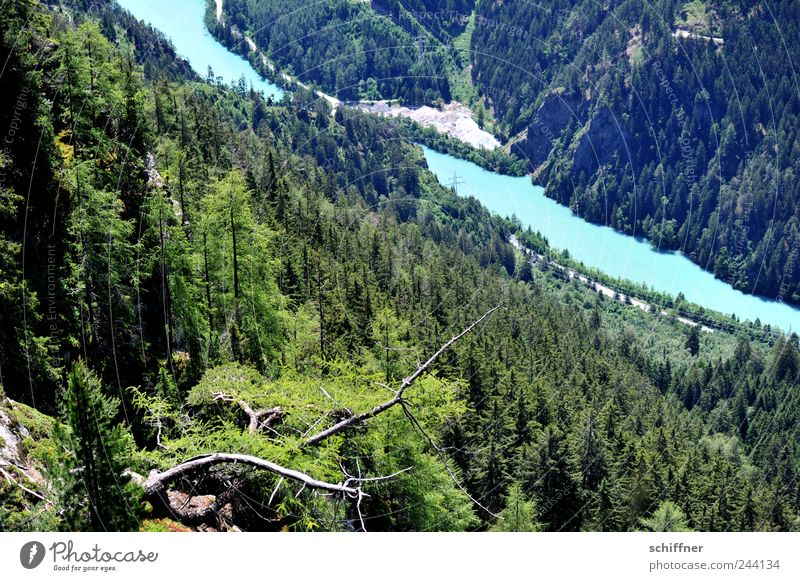 Türkis ist Inn Natur Landschaft Wasser Schönes Wetter Wald Hügel Felsen Alpen Berge u. Gebirge Flussufer außergewöhnlich türkis Berghang Meerestiefe Nadelwald
